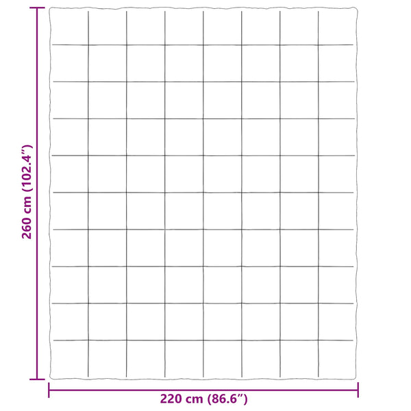 Ganzjahresbettdecke Anthrazit 220x260 cm