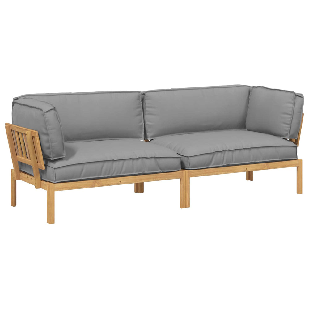 Graues 2-teiliges Sofa-Set mit Kissen
