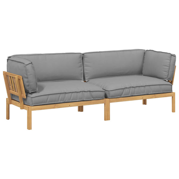 Graues 2-teiliges Sofa-Set mit Kissen