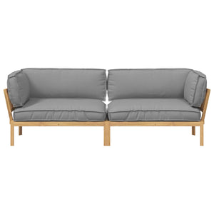 Graues 2-teiliges Sofa-Set mit Kissen