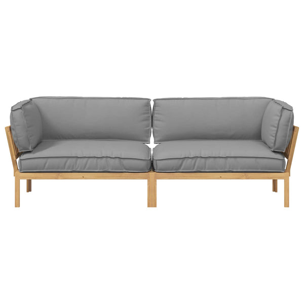 Graues 2-teiliges Sofa-Set mit Kissen