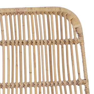 vidaXL Chaises de salle à manger 2 pcs Naturel 41 x 55 x 85 cm Rotin et Acier