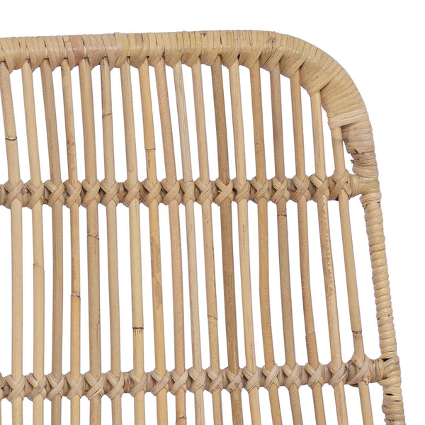 vidaXL Chaises de salle à manger 2 pcs Naturel 41 x 55 x 85 cm Rotin et Acier