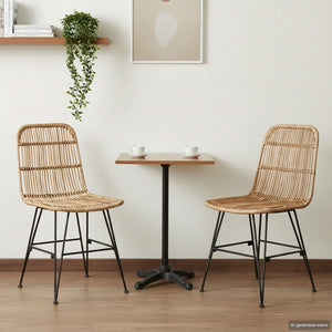 vidaXL Chaises de salle à manger 2 pcs Naturel 41 x 55 x 85 cm Rotin et Acier