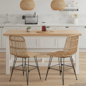 vidaXL Chaises de salle à manger 2 pcs Naturel 41 x 55 x 85 cm Rotin et Acier