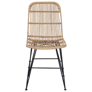 vidaXL Chaises de salle à manger 2 pcs Naturel 41 x 55 x 85 cm Rotin et Acier