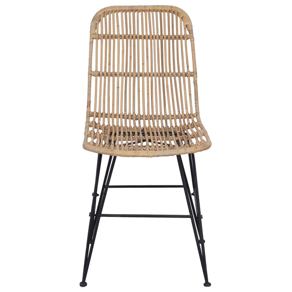 vidaXL Chaises de salle à manger 2 pcs Naturel 41 x 55 x 85 cm Rotin et Acier