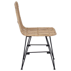 vidaXL Chaises de salle à manger 2 pcs Naturel 41 x 55 x 85 cm Rotin et Acier