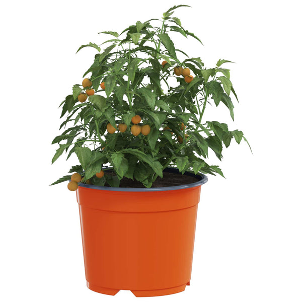 Terrakotta Blumentöpfe, 10 cm, 200er-Set