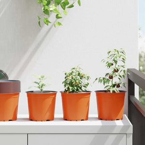 Terrakotta Blumentöpfe 50er Set Ø15cm