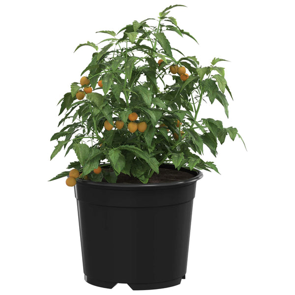 Runder Blumentopf, 200 Stk, Schwarz, Ø 10cm