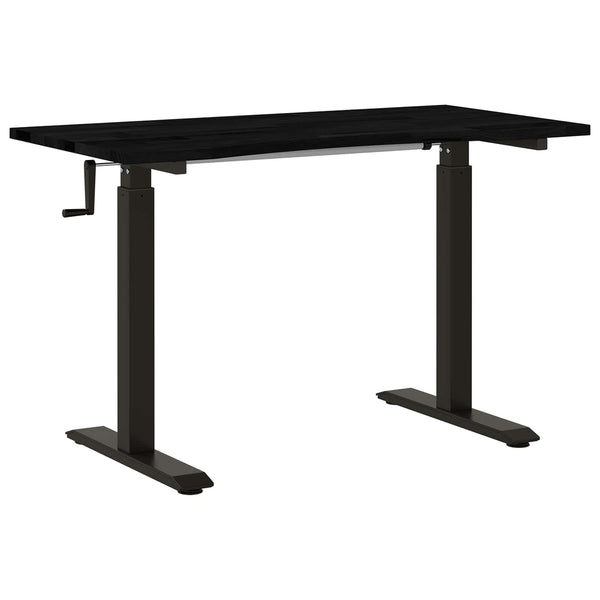 Schreibtisch mit Stauraum 120x60 cm Schwarz/Dunkelbraun