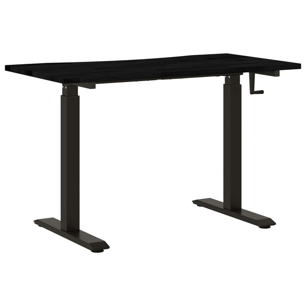 Schreibtisch mit Stauraum 120x60 cm Schwarz/Dunkelbraun