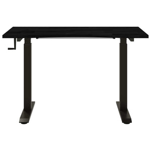 Schreibtisch mit Stauraum 120x60 cm Schwarz/Dunkelbraun