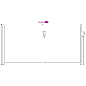 Ausziehbare Seitenmarkise Anthrazit 300x100 cm