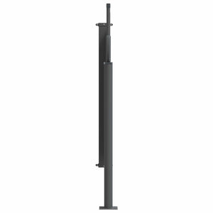 Ausziehbare Seitenmarkise Anthrazit 300x100 cm