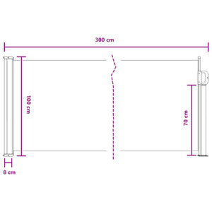 Ausziehbare Seitenmarkise Anthrazit 300x100 cm