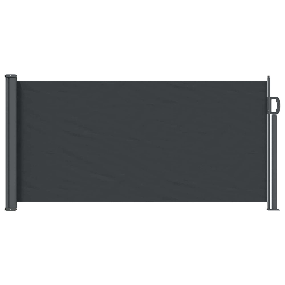Ausziehbare Seitenmarkise Schwarz 300x100 cm