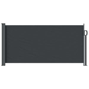 Ausziehbare Seitenmarkise Schwarz 300x100 cm