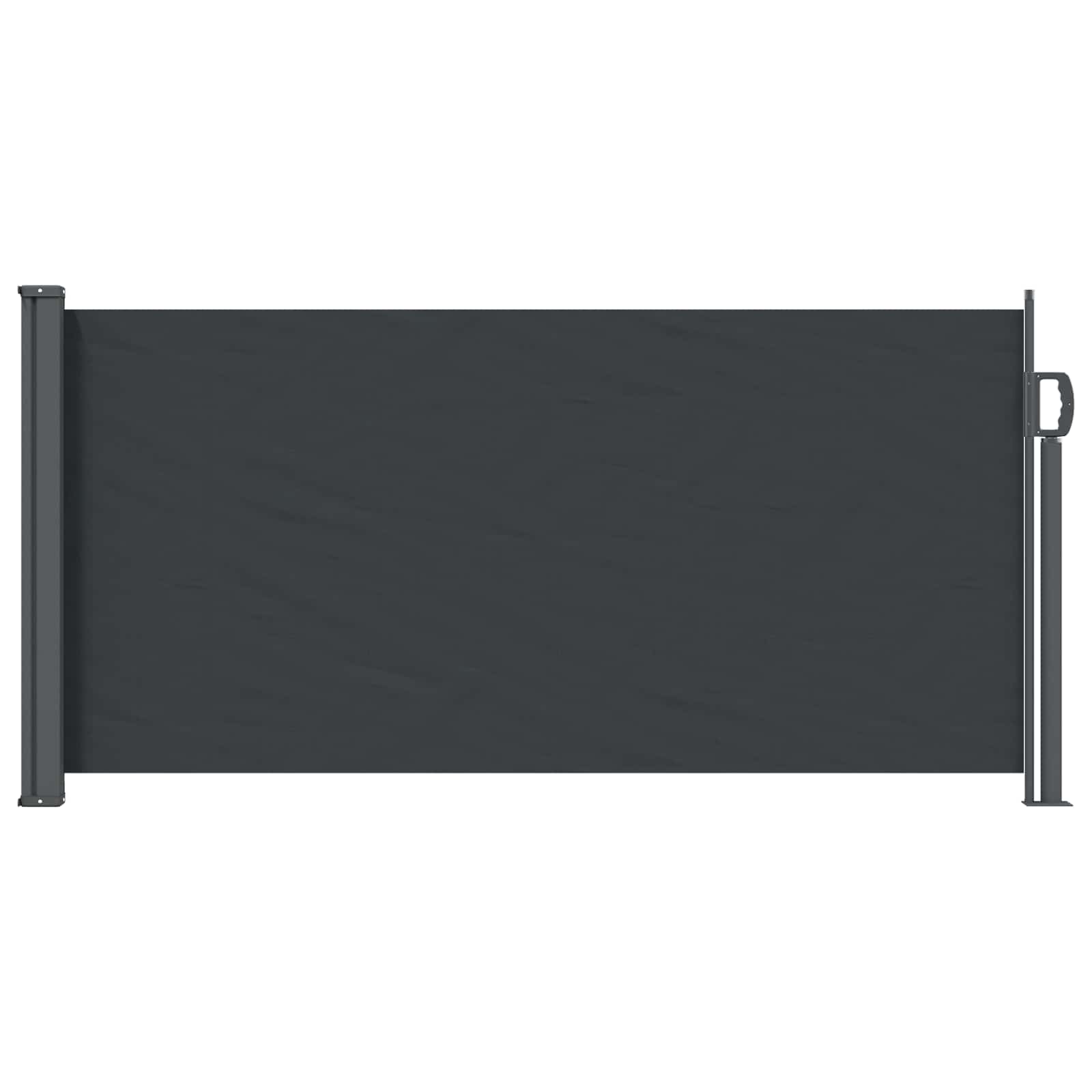 Ausziehbare Seitenmarkise Schwarz 300x100 cm