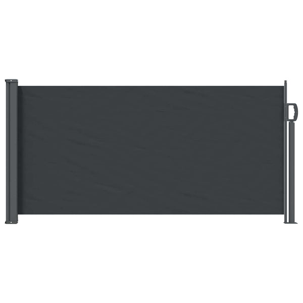 Ausziehbare Seitenmarkise Schwarz 300x100 cm
