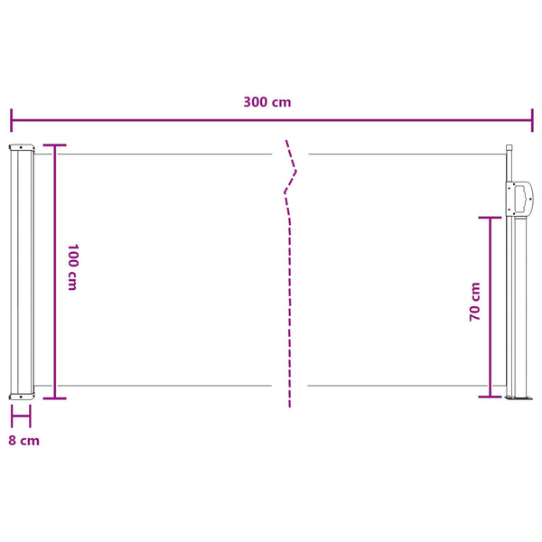 Ausziehbare Seitenmarkise Schwarz 300x100 cm