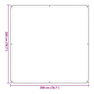 Transparente Pflanzenabdeckung 2x2 m