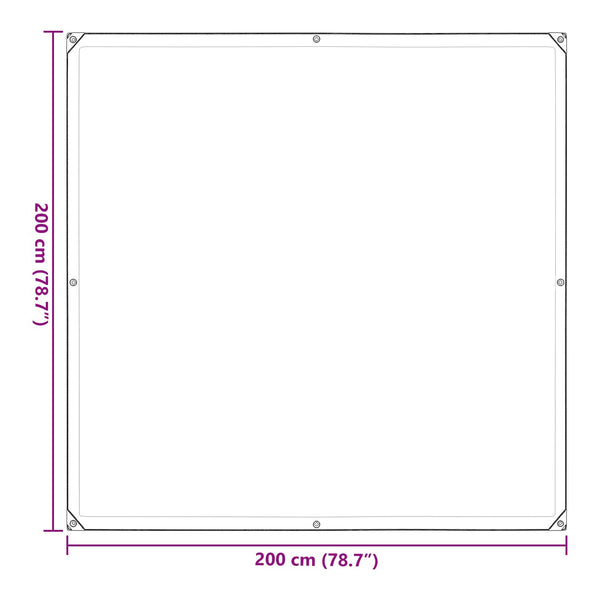 Transparente Pflanzenabdeckung 2x2 m