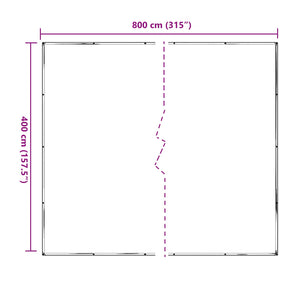 Transparente Pflanzenabdeckung 4x8m PE