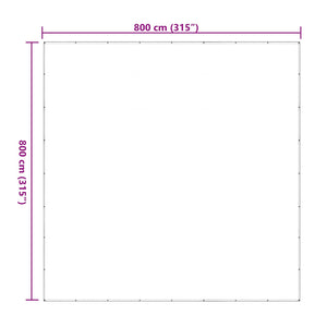 Transparente Pflanzenabdeckung 8x8 m PE