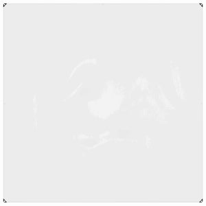 Transparente Pflanzenabdeckung 2x2m