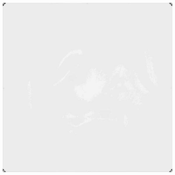 Transparente Pflanzenabdeckung 2x2m