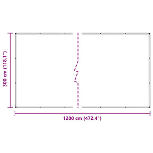 Transparente Pflanzenabdeckung 3x12m