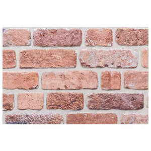 Wandpaneele Rot 10 Stk. 100x50cm EPS-Schaum