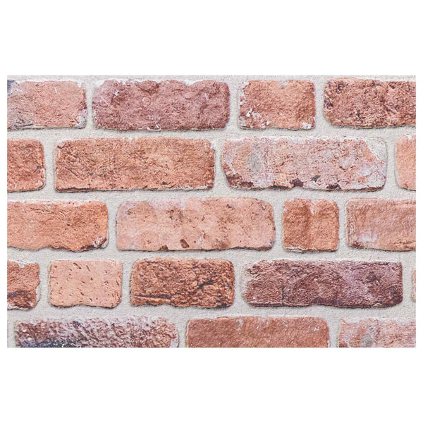 Wandpaneele Rot 10 Stk. 100x50cm EPS-Schaum