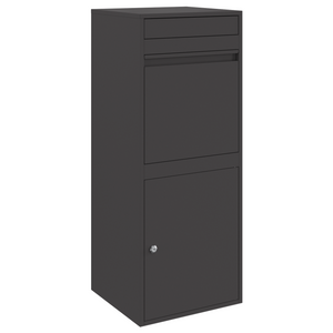 Paketbox mit Speicher Schwarz 41x38x103cm