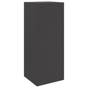 Paketbox mit Speicher Schwarz 41x38x103cm