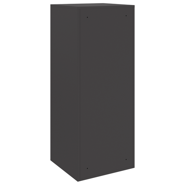 Paketbox mit Speicher Schwarz 41x38x103cm
