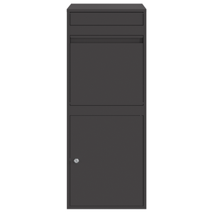 Paketbox mit Speicher Schwarz 41x38x103cm